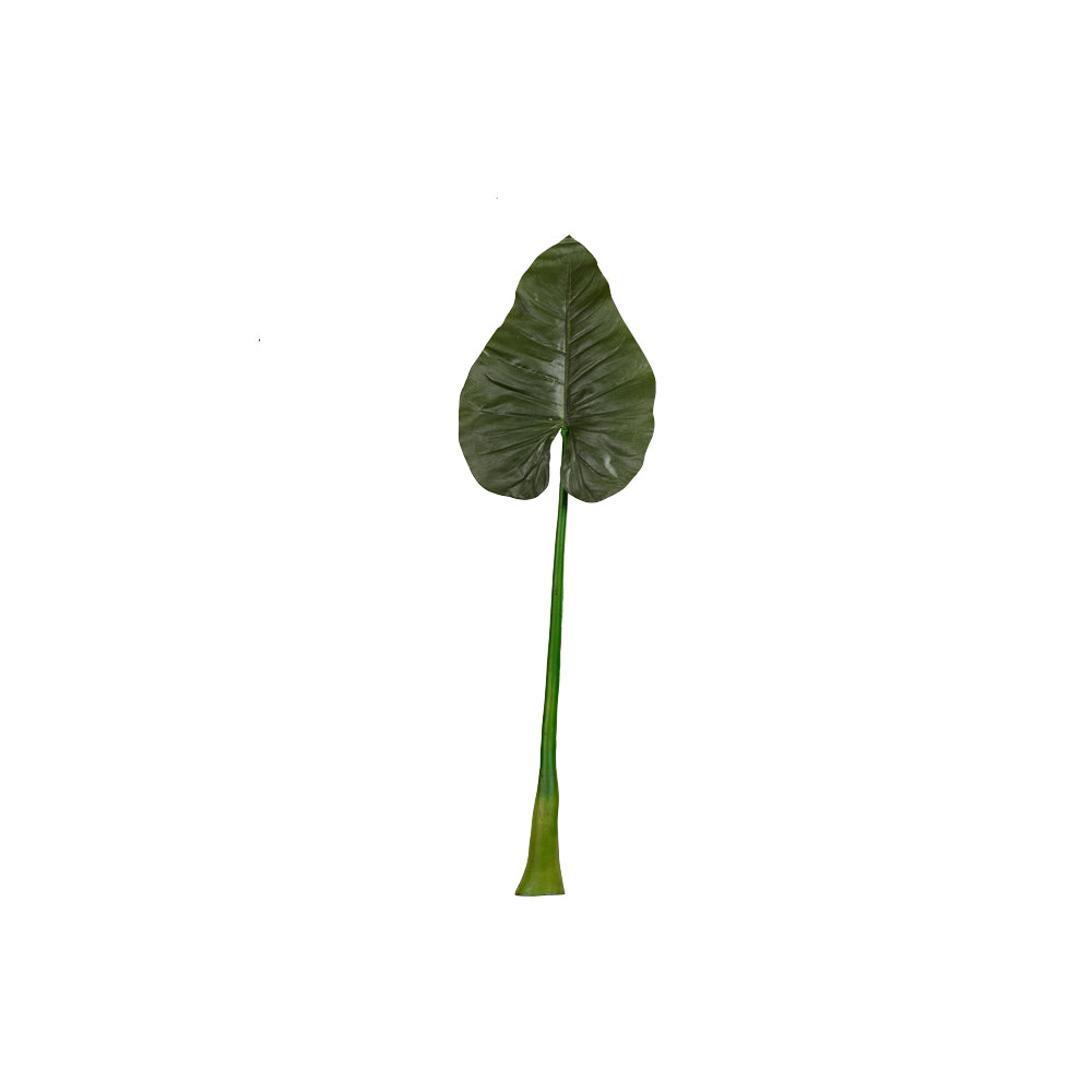 Giant Green Leaf