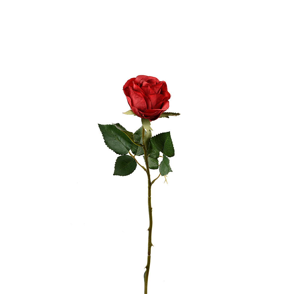 Rose Flower Bud Red