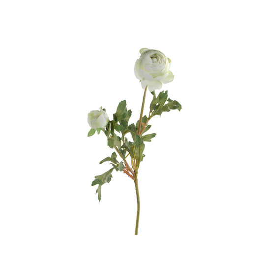 Peony White  Stem