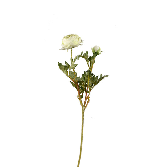 Buttercup Spray Ivory