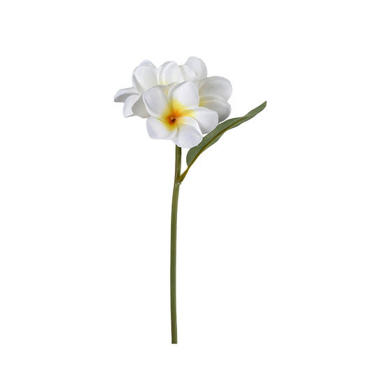 Frangipani Cream and Yellow Flower Single Bunch