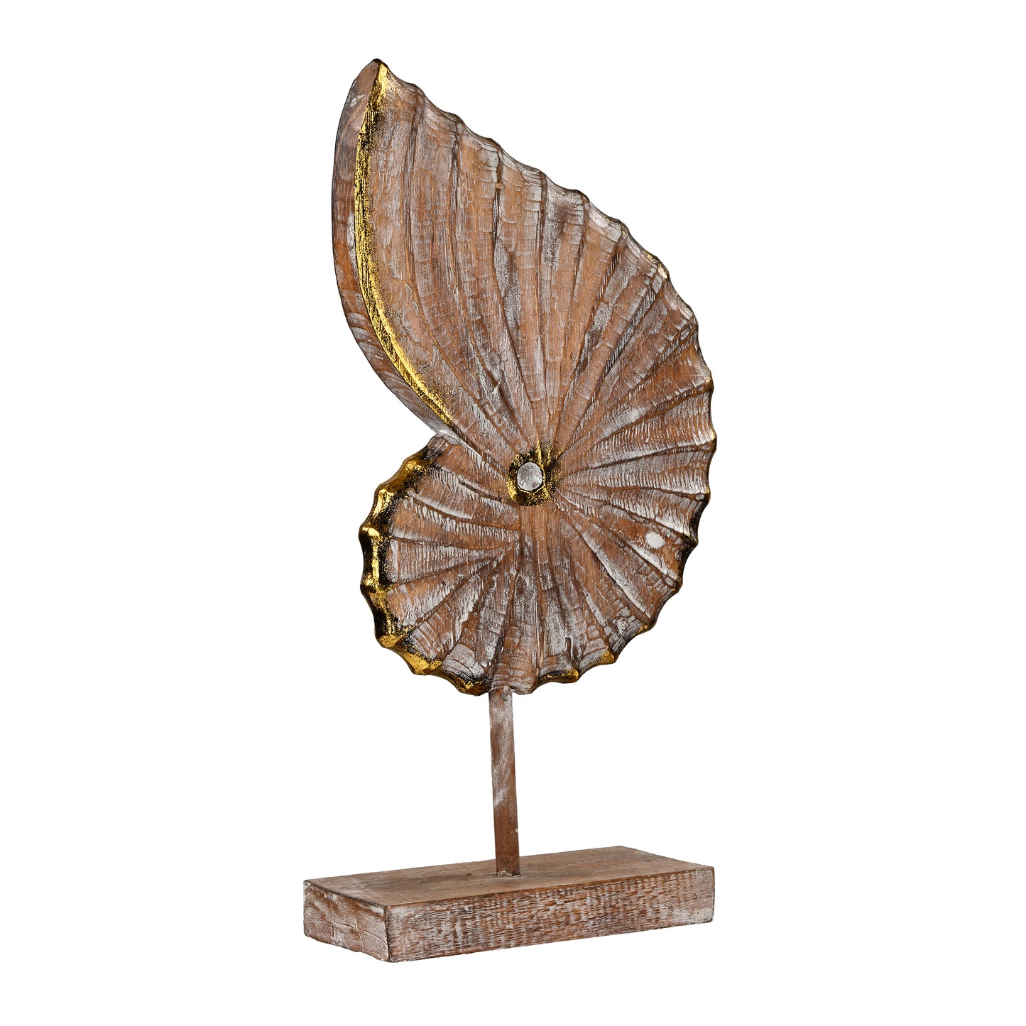 Shell Artefact Large