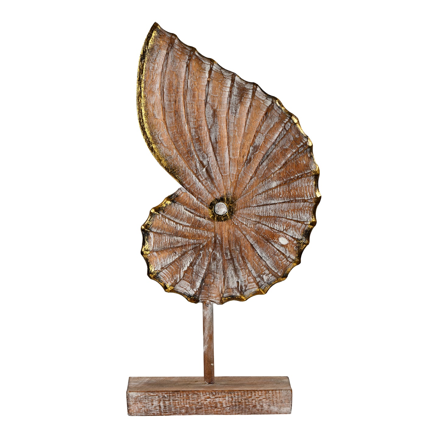 Shell Artefact Large