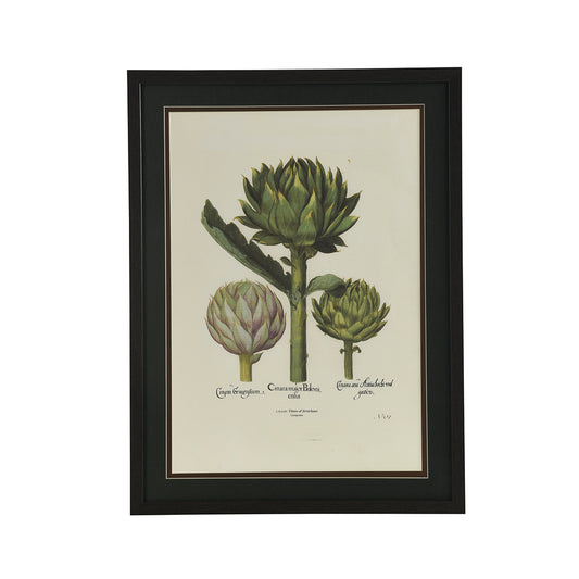Cinara Botanical - Wall Print