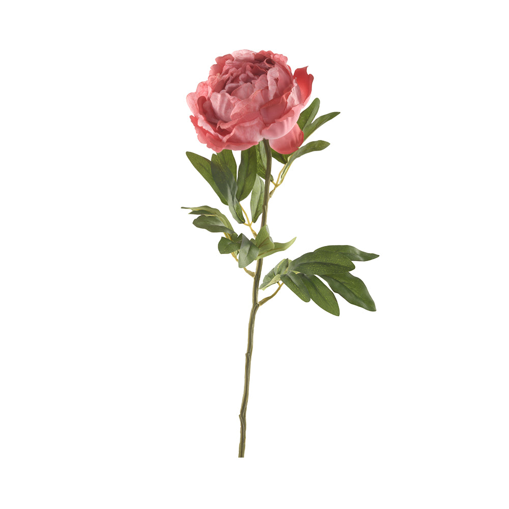 Peony Flower Fuchsia Pink