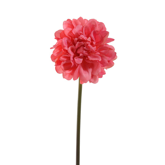 Dahlia Flower Wine