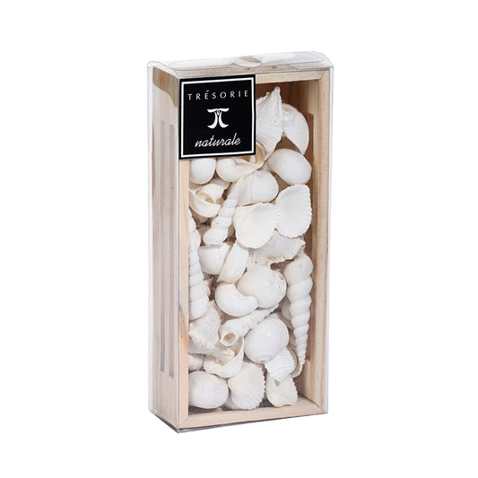 White Shell Mix