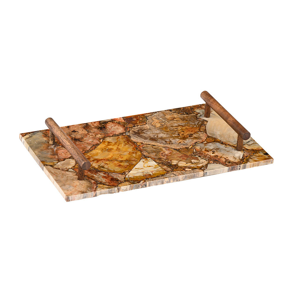 Petrified Wood Tray