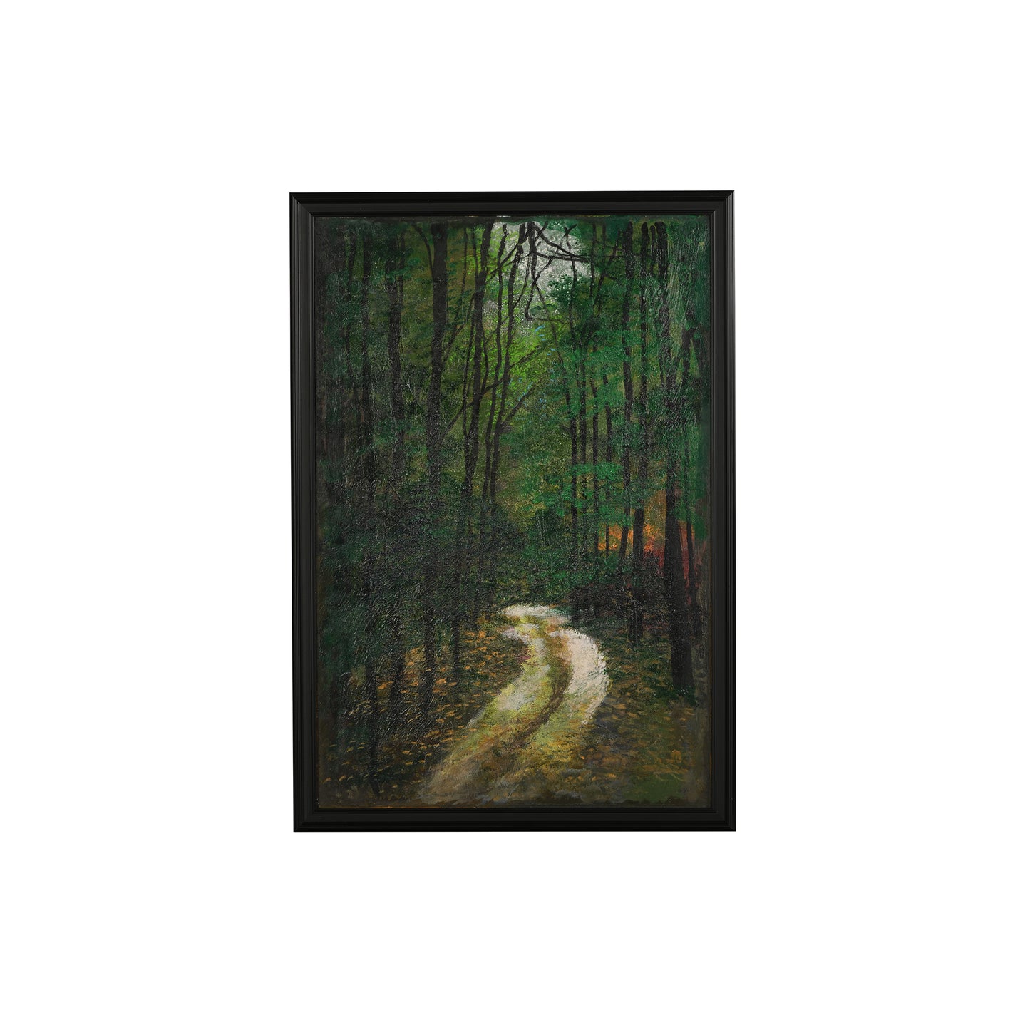 Jungle Pathway - Shravan Gurav