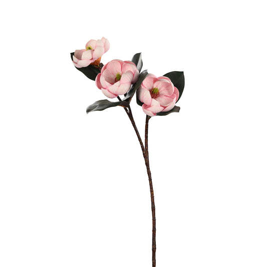 Manganolia Light Pink