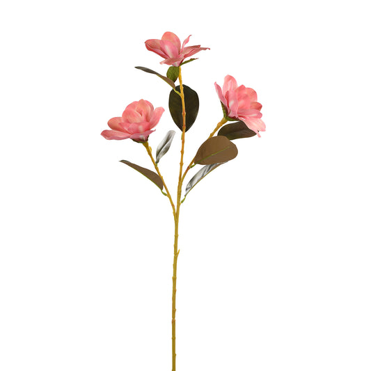 Manganolia Medium Pink