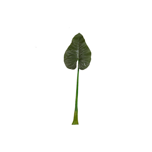 Giant Green Leaf