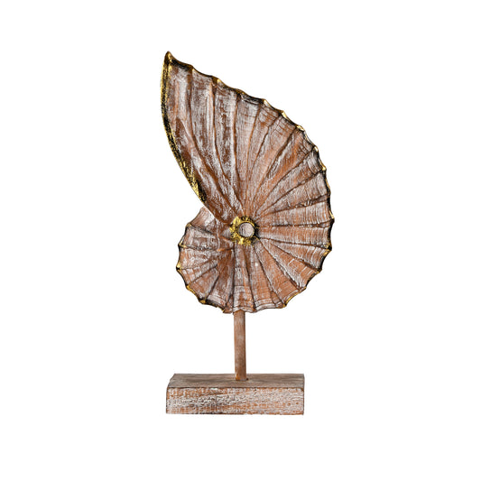 Shell Artefact Medium