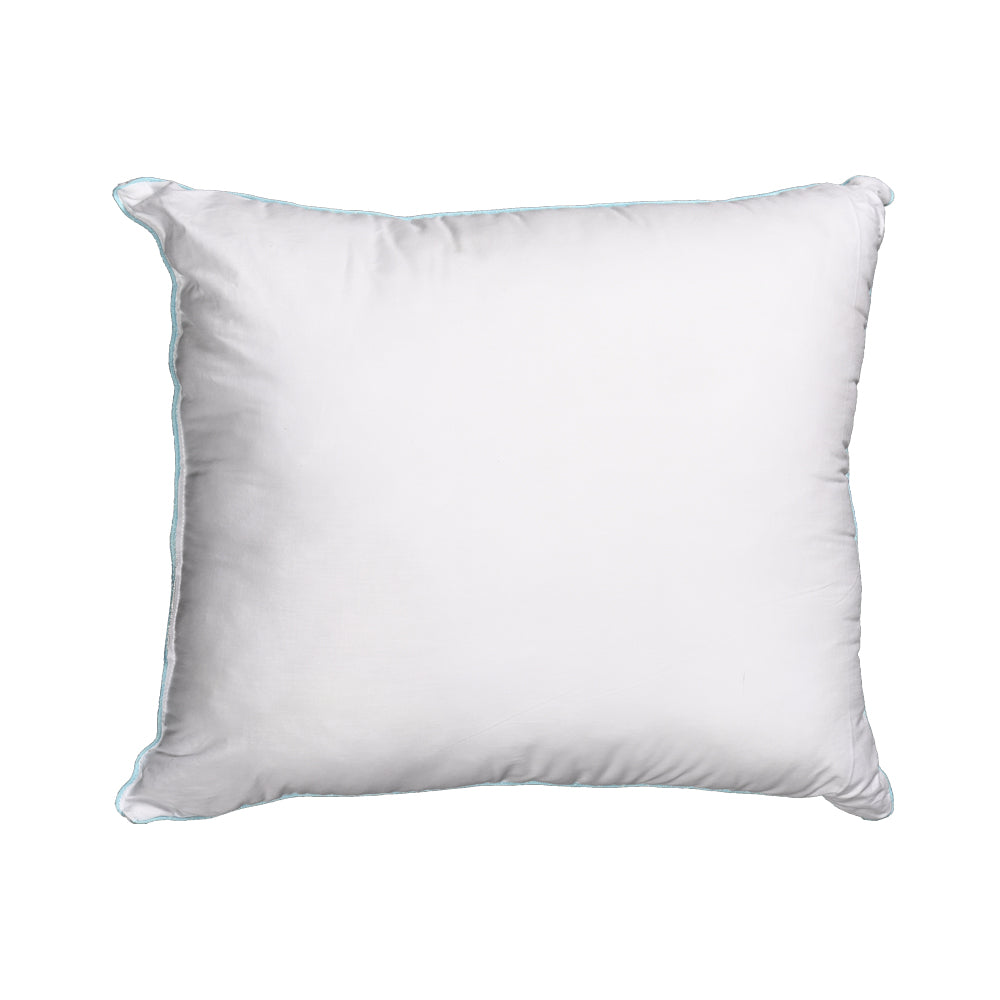 Essential Cushion Refill 20X20