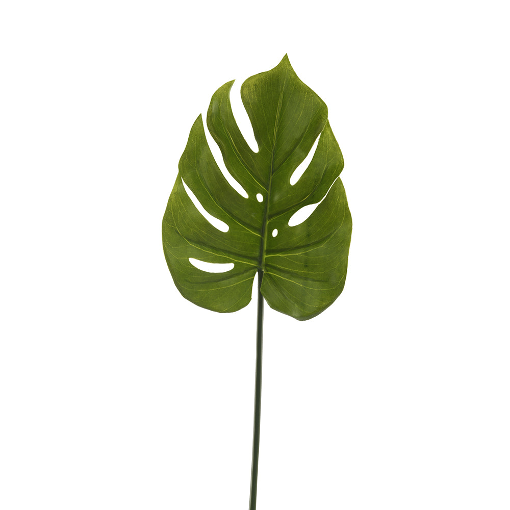 Monstera Single Leaf