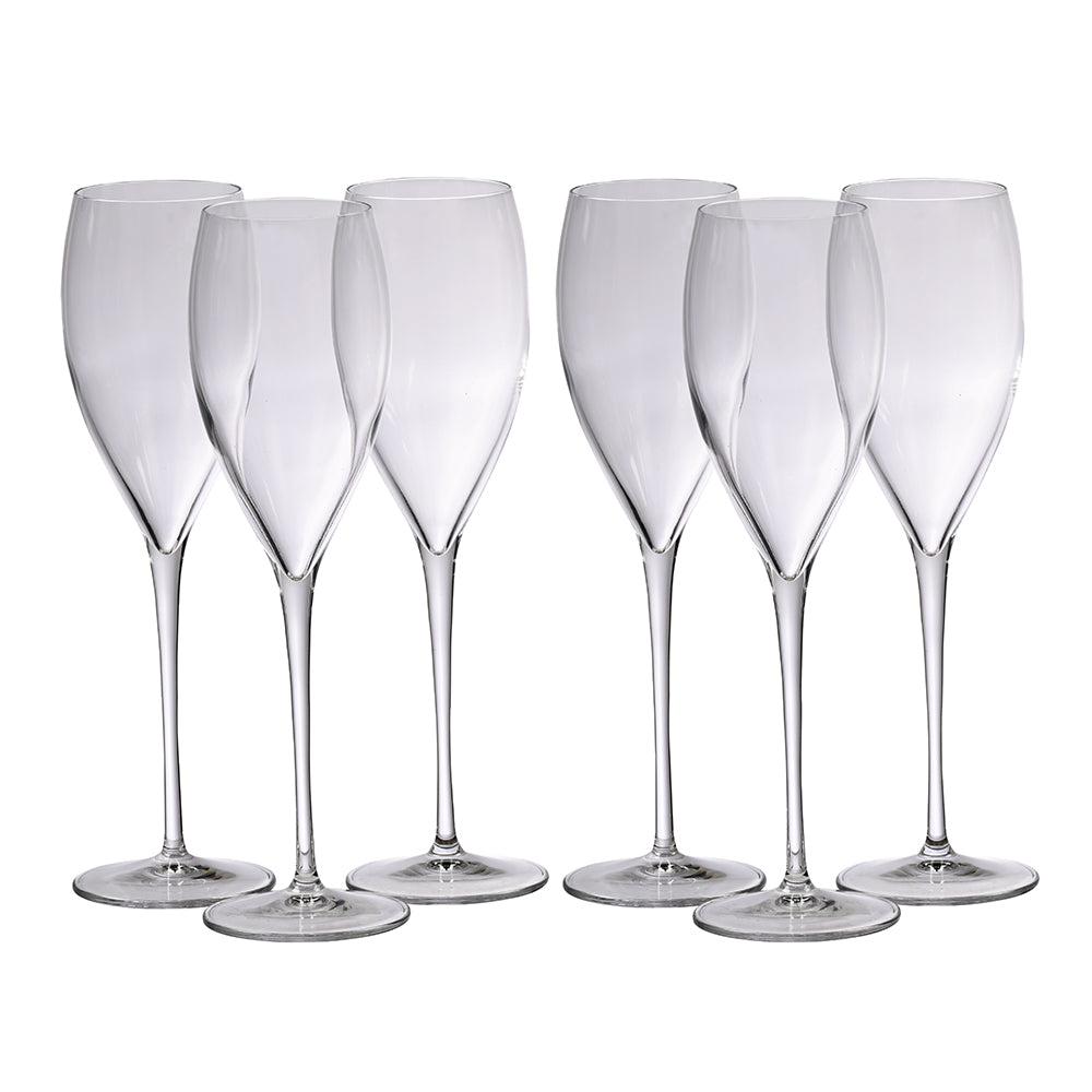 Magnifico Flute Glass Set of 6